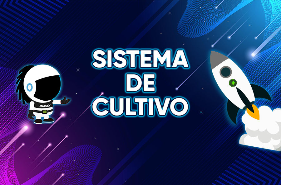 Imagen para la categoría SISTEMAS DE CULTIVO
