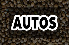 Imagen para la categoría AUTOMÁTICAS