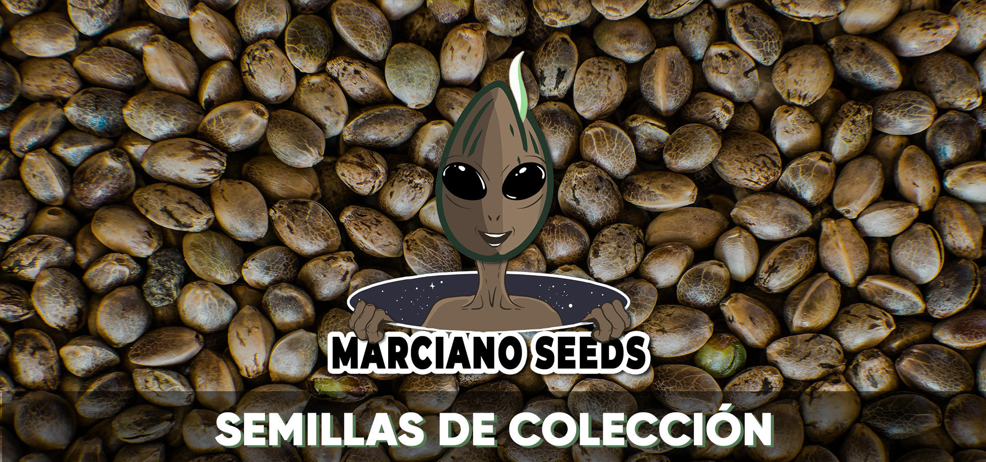 Imagen para la categoría CATÁLOGO