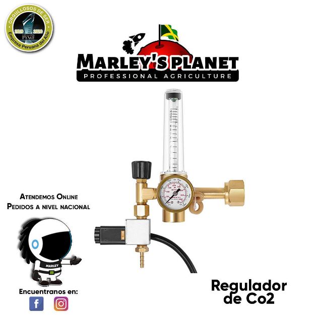 Imagen de REGULADOR DE CO2